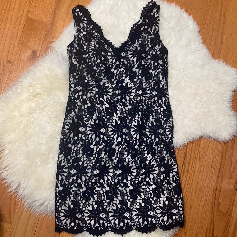 NWT Ann Taylor lace dress